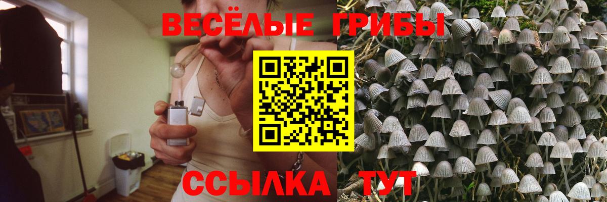 Назрань  Псилоцибиновые грибы MAGIC MUSHROOMS  где можно купить наркотик  Псилоцибиновые грибы мухоморы  Вход с VPN 